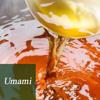 Umami